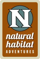 NHA_logo (3) copy
