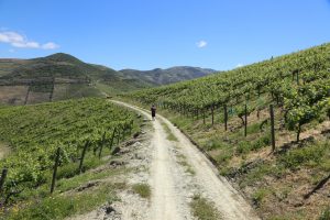 HEART AND SOUL OF THE DOURO WINE REGION
