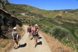 HEART AND SOUL OF THE DOURO WINE REGION