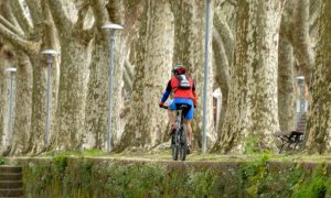 cycling-the-central-portuguese-way-of-saint-james