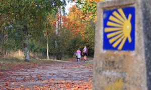 last-minute-camino-guided-tours_5989dc0a40b1b