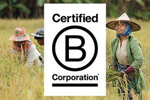 better places travel b corp